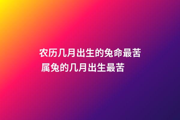农历几月出生的兔命最苦 属兔的几月出生最苦-第1张-观点-玄机派